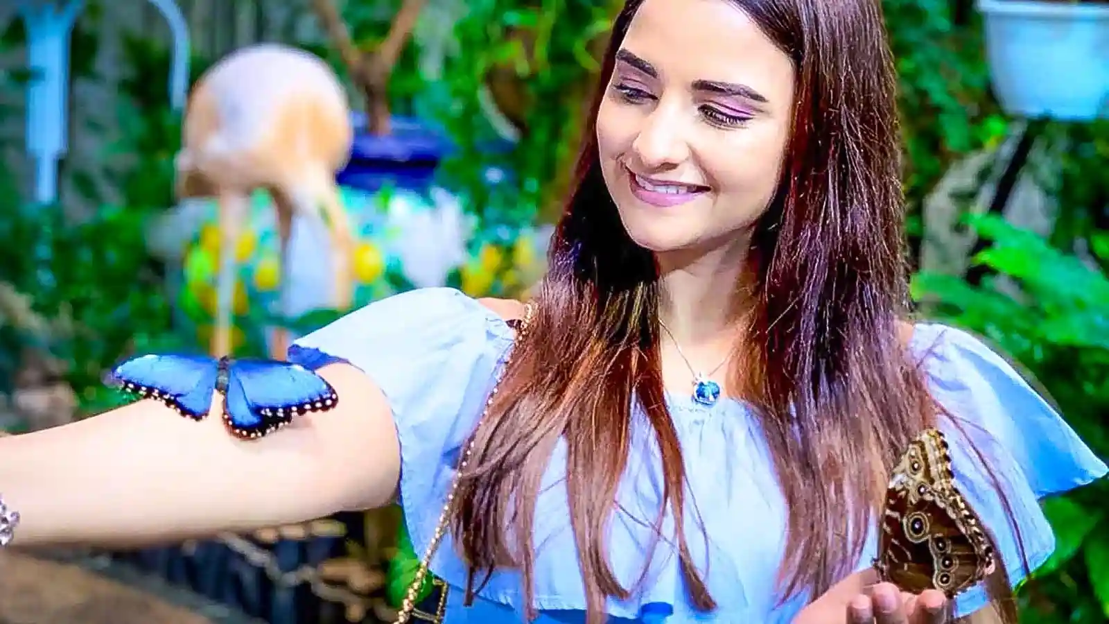 Chariot3-2x2-1-scaled